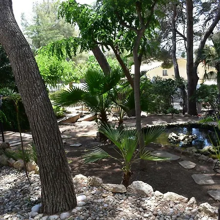 Garden *