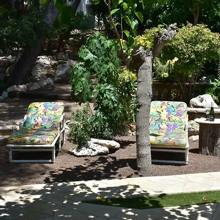 بيت ضيافة Garden